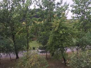 Апартаменты Welcome Apartament Гродно Апартаменты с 1 спальней-3